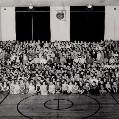 Vienna School Students