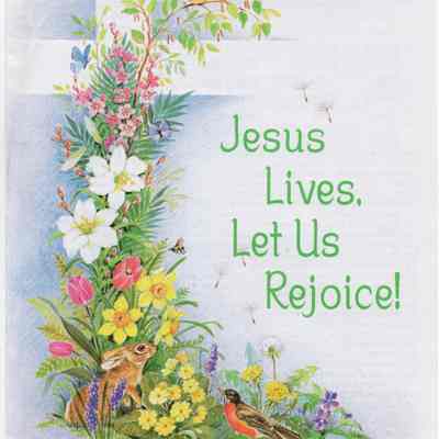 St. Vincent DePaul Bulletin