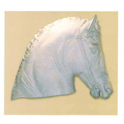 Head of the Horse from The Bartolomeo Colleoni Equestrian Statue by Verrocchio.