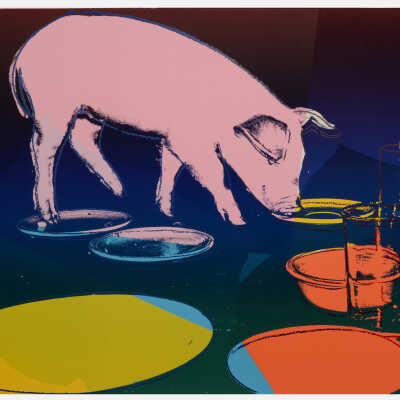 Fiesta Pig