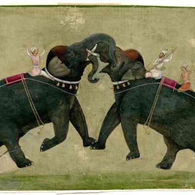 Untitled (Two Elephants with Tusks Locked in Combat)