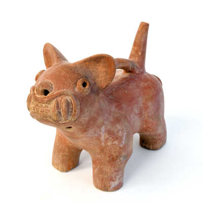 Canine Vessel