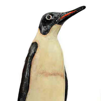 Untitled (Emperor Penguin)