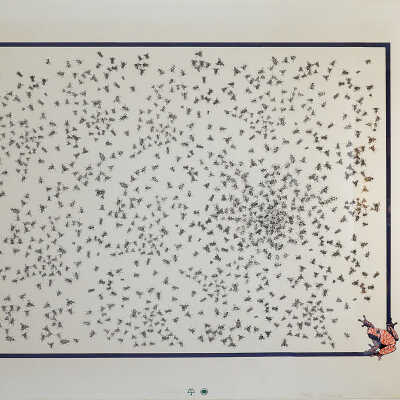 Flies and Frogs