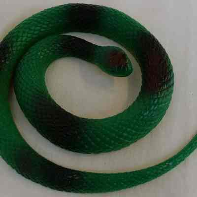 Toy- Rubber snake