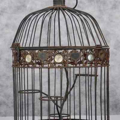Bird cages