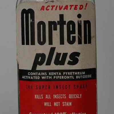 Bottle- Poison/fly spray