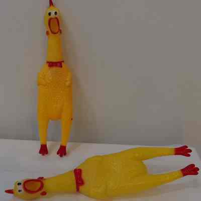 Toy- Rubber chickens