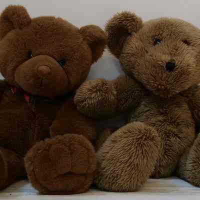 Toys- Teddy Bears Large