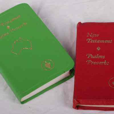Books- New Testament bibles