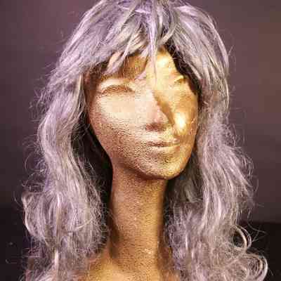 Wig- Long silver