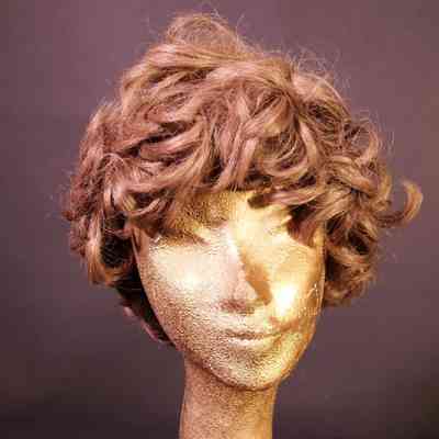 Wig- Short curly brown