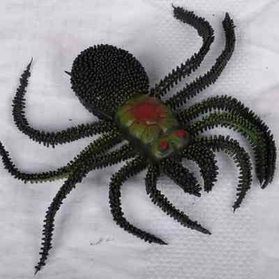 Toy- Spider