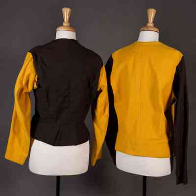 backs yellow and brown
