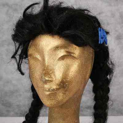 Wig- Plaits