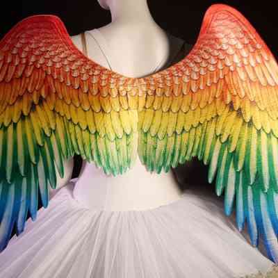 Wings