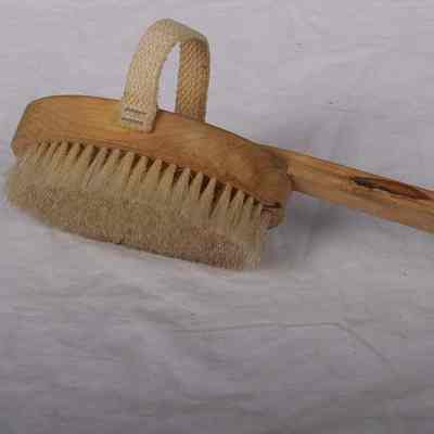 Brush