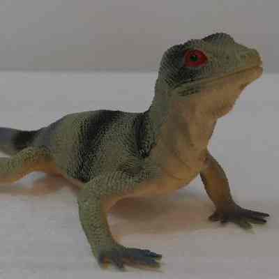 Toys- plastic animals