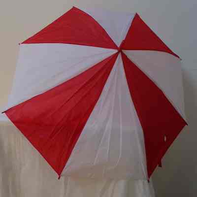 Umbrella- Rain
