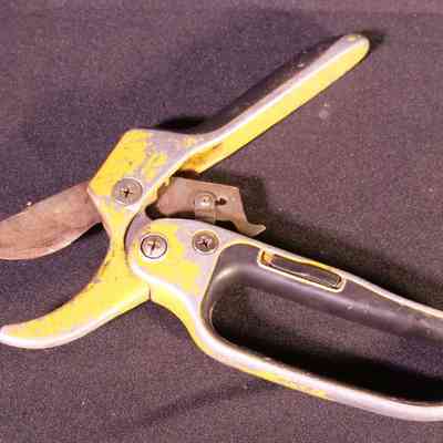 Tool- Shears