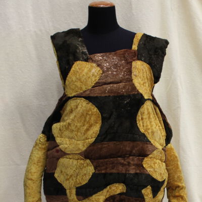 Insect Body