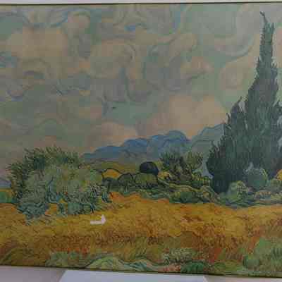 Print- Canvas