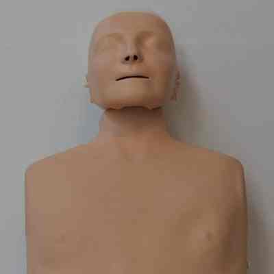 First Aid- CPR model