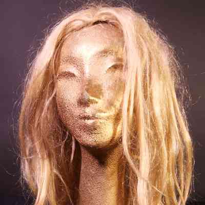 Wig- long no fringe