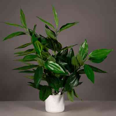 Fake plant- Indoor palm