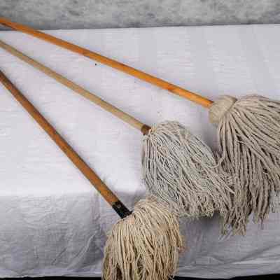 Mops