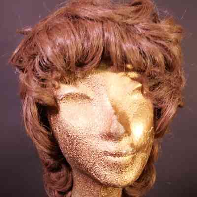 Wig- Shag