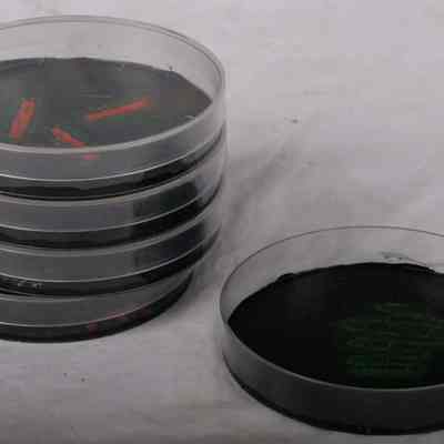 Petri dishes