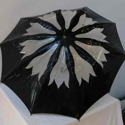 Umbrella- Rain