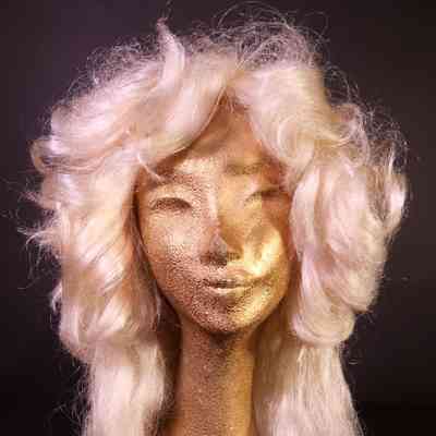Wig- Long fluffy