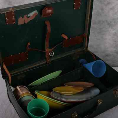 Suitcase- Picnic