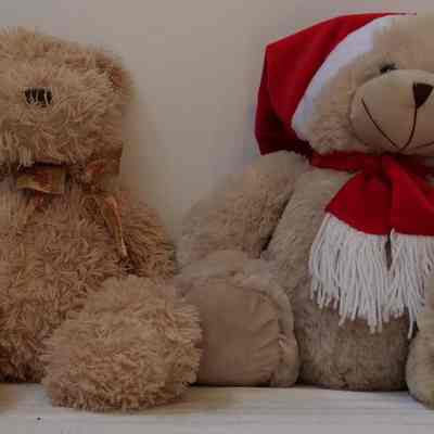 Toys- Teddy Bears