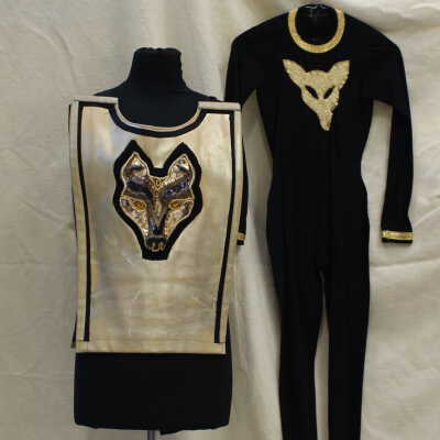 Gold tunic with Unitard