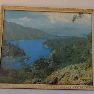Picture- Photo