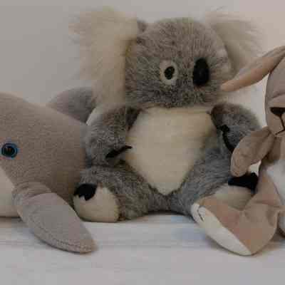 Toys- Plush animals