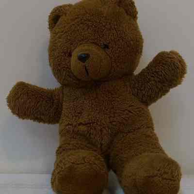 Toy- Teddy Bear Medium