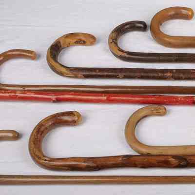 Walking Canes