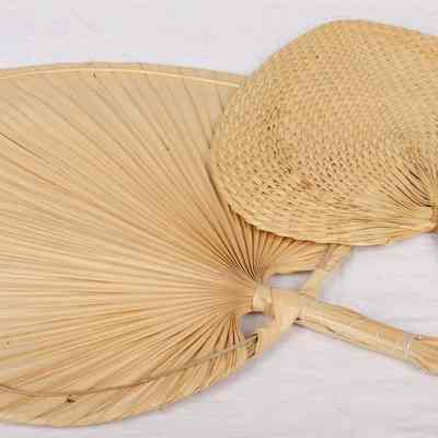 Fans- Natural