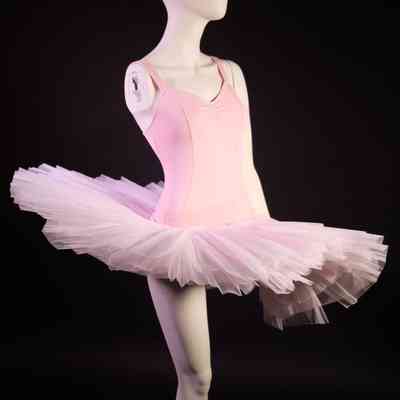 Tutu- skirt and leotard