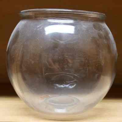 Bowl- Fish/Vase