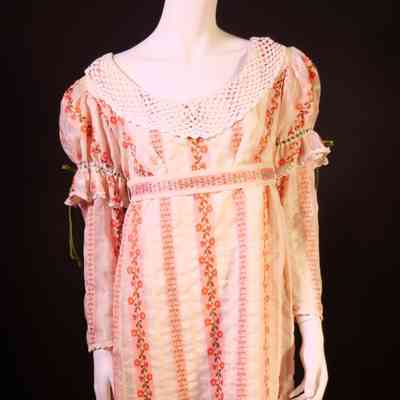 1880's Dress