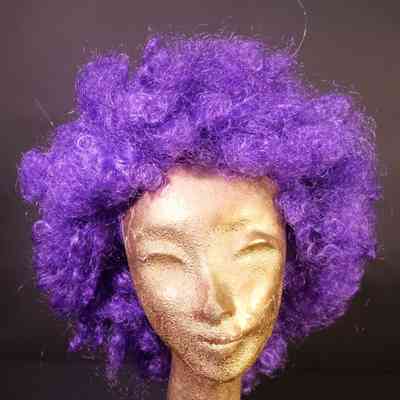 Wig- Curly Purple