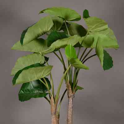 Fake Plant- Elephant Ear palm
