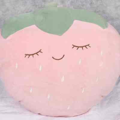Cushion- Kids plushie