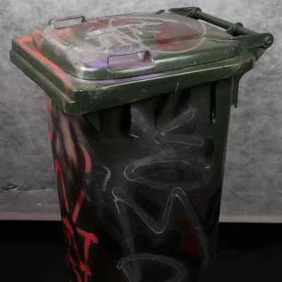Bin- Wheelie