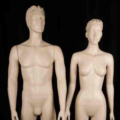 Mannequins- Male and Female